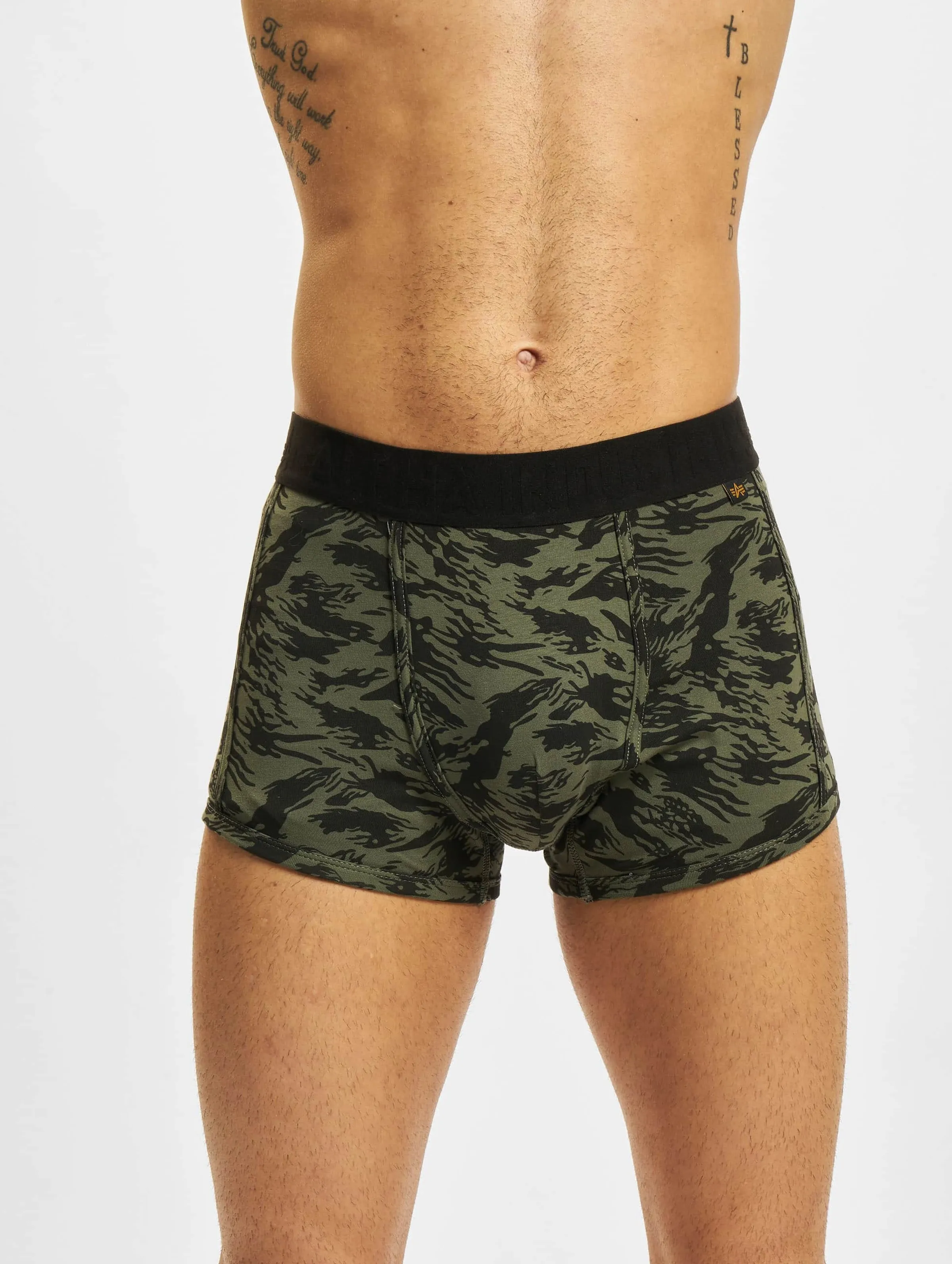 Alpha Industries Graphic 2 Pack