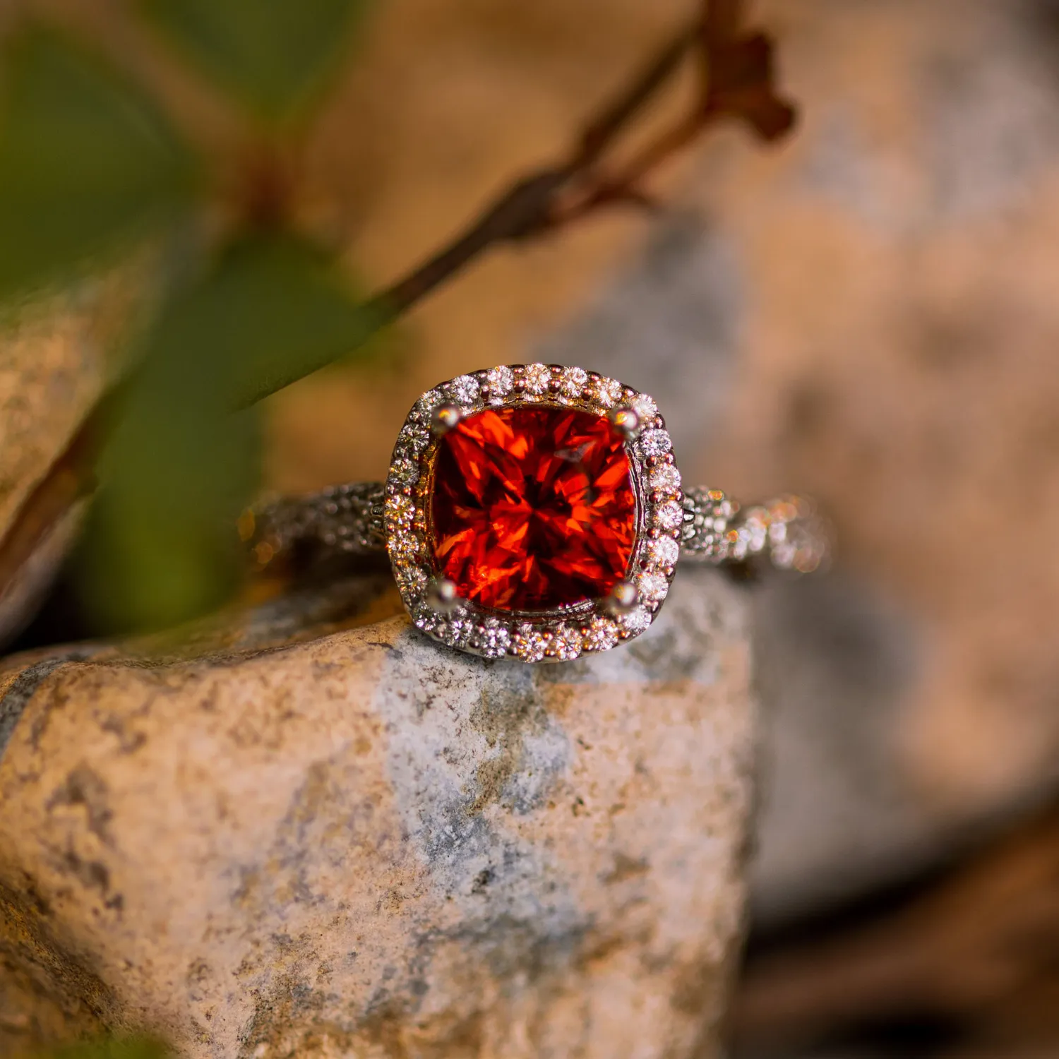 ANILLO AFRICA 