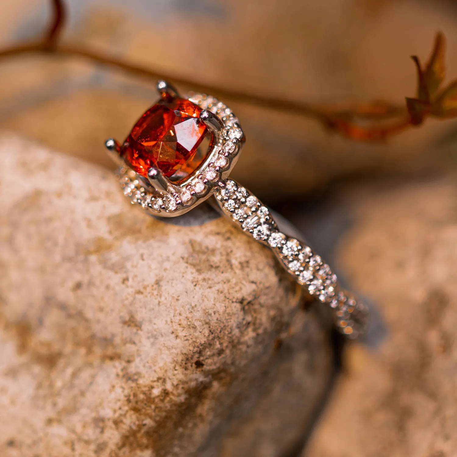 ANILLO AFRICA 