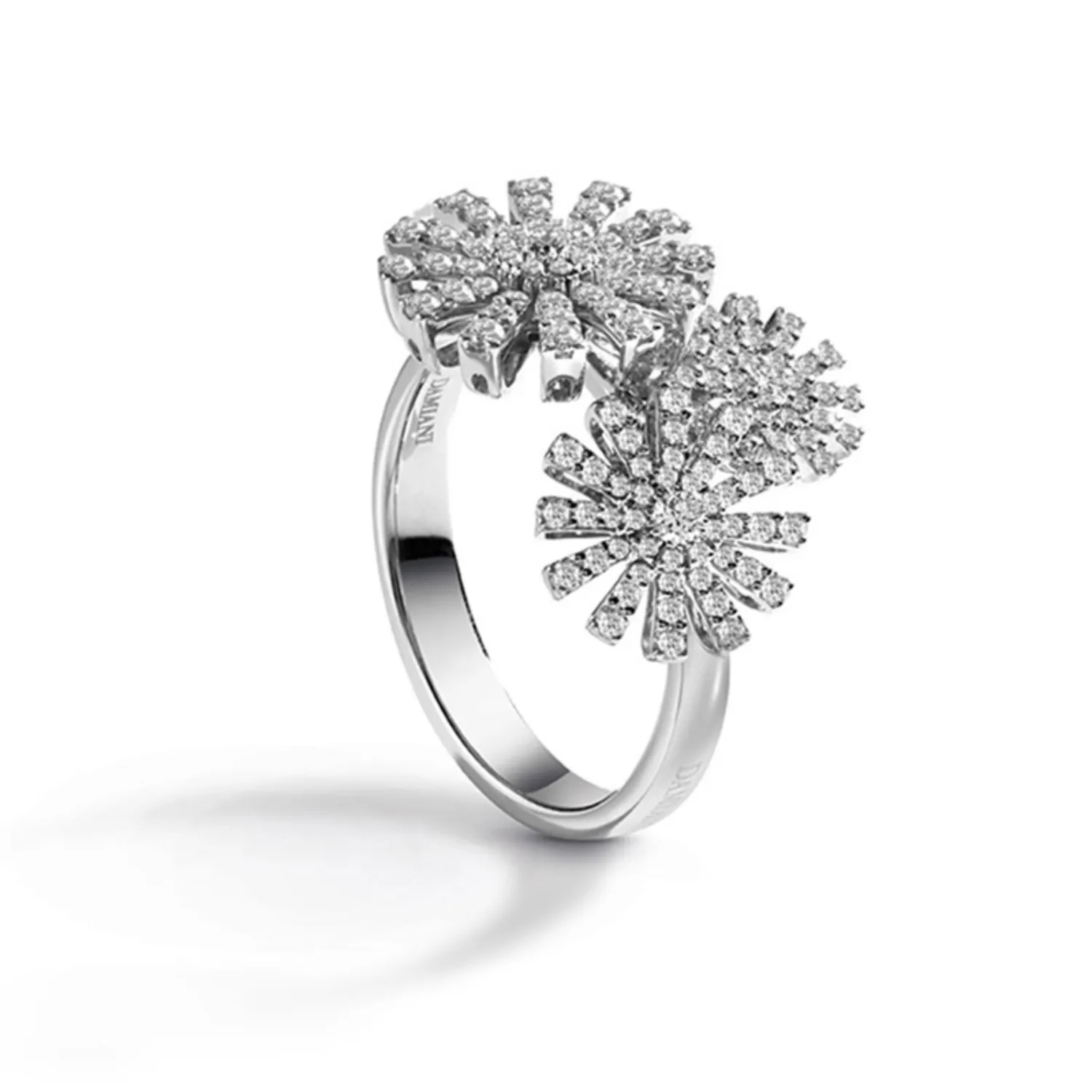 ANILLO  