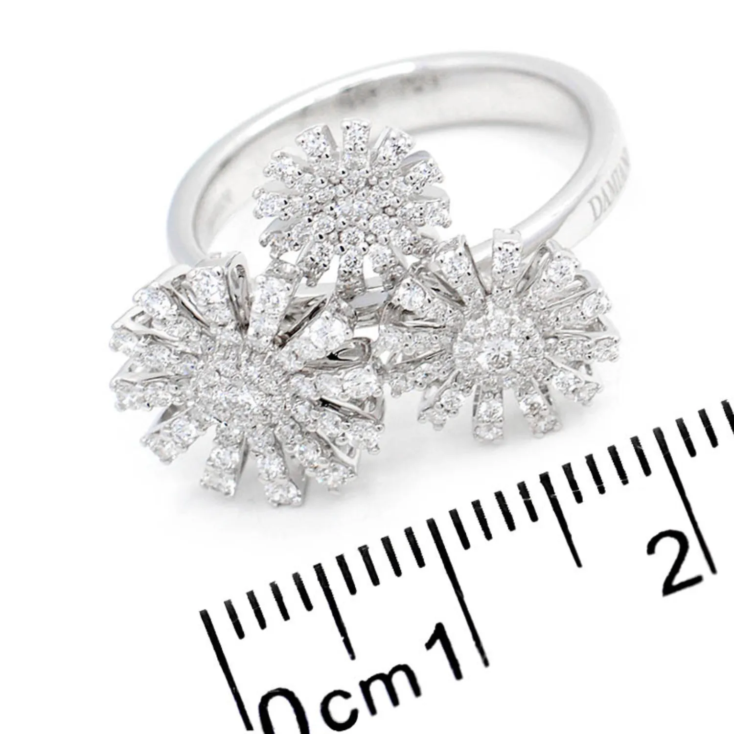 ANILLO  