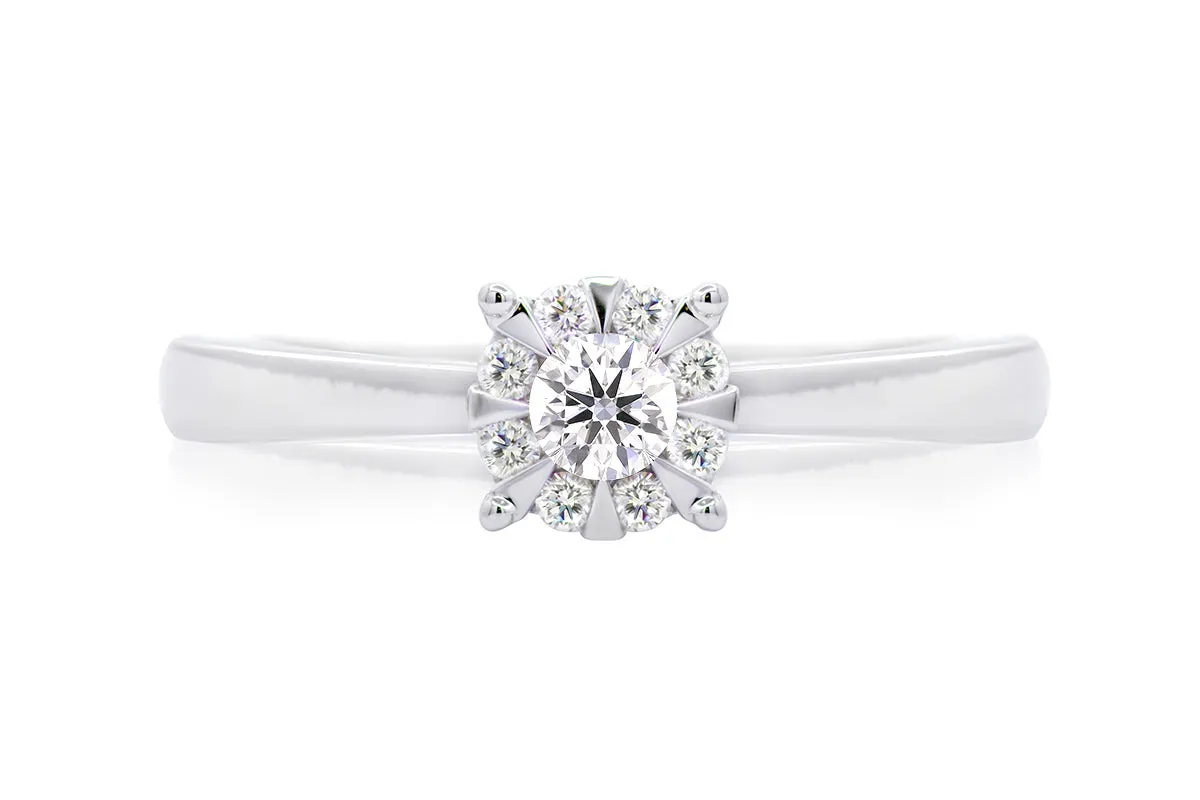 ANILLO PROMESE CLUSTER 
