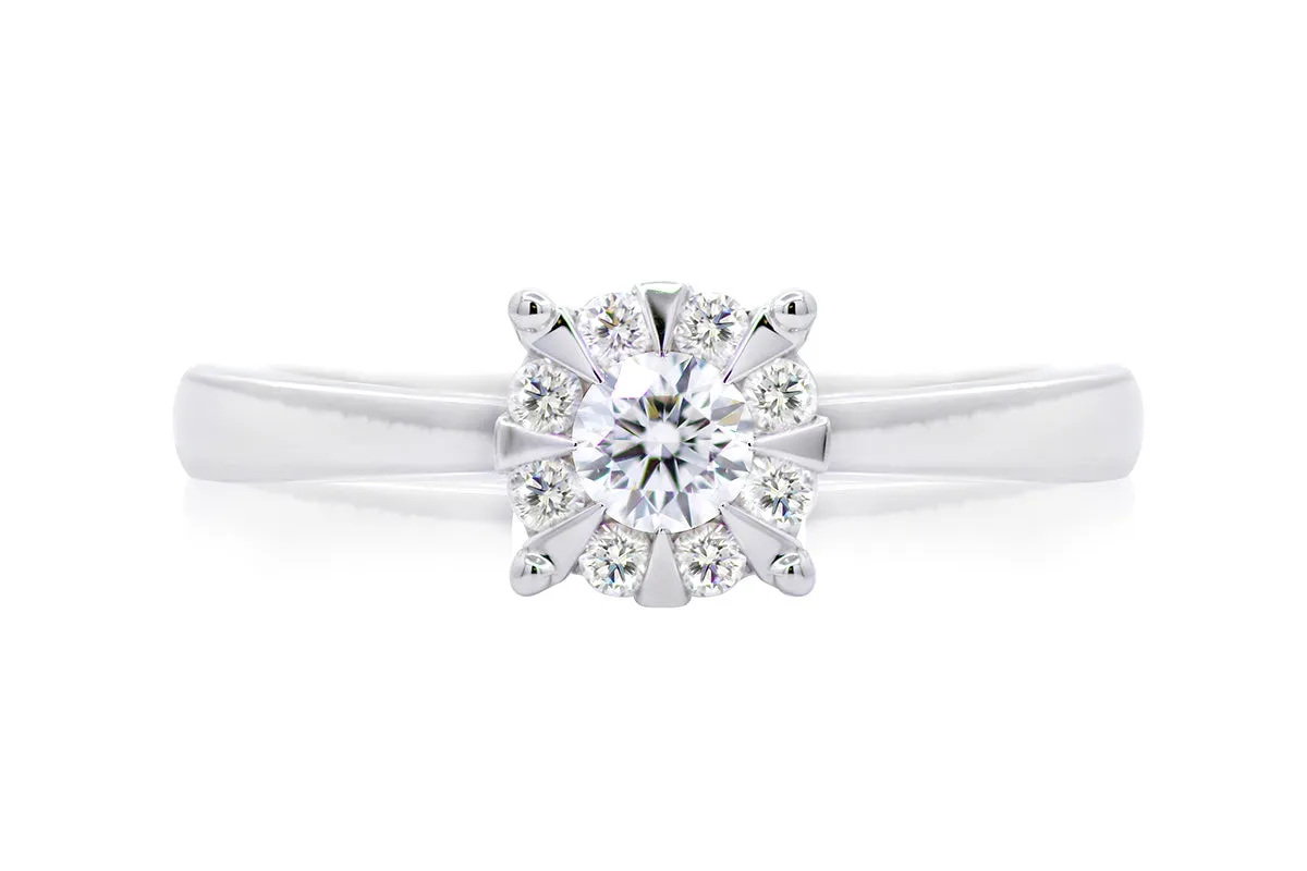 ANILLO PROMESE CLUSTER 