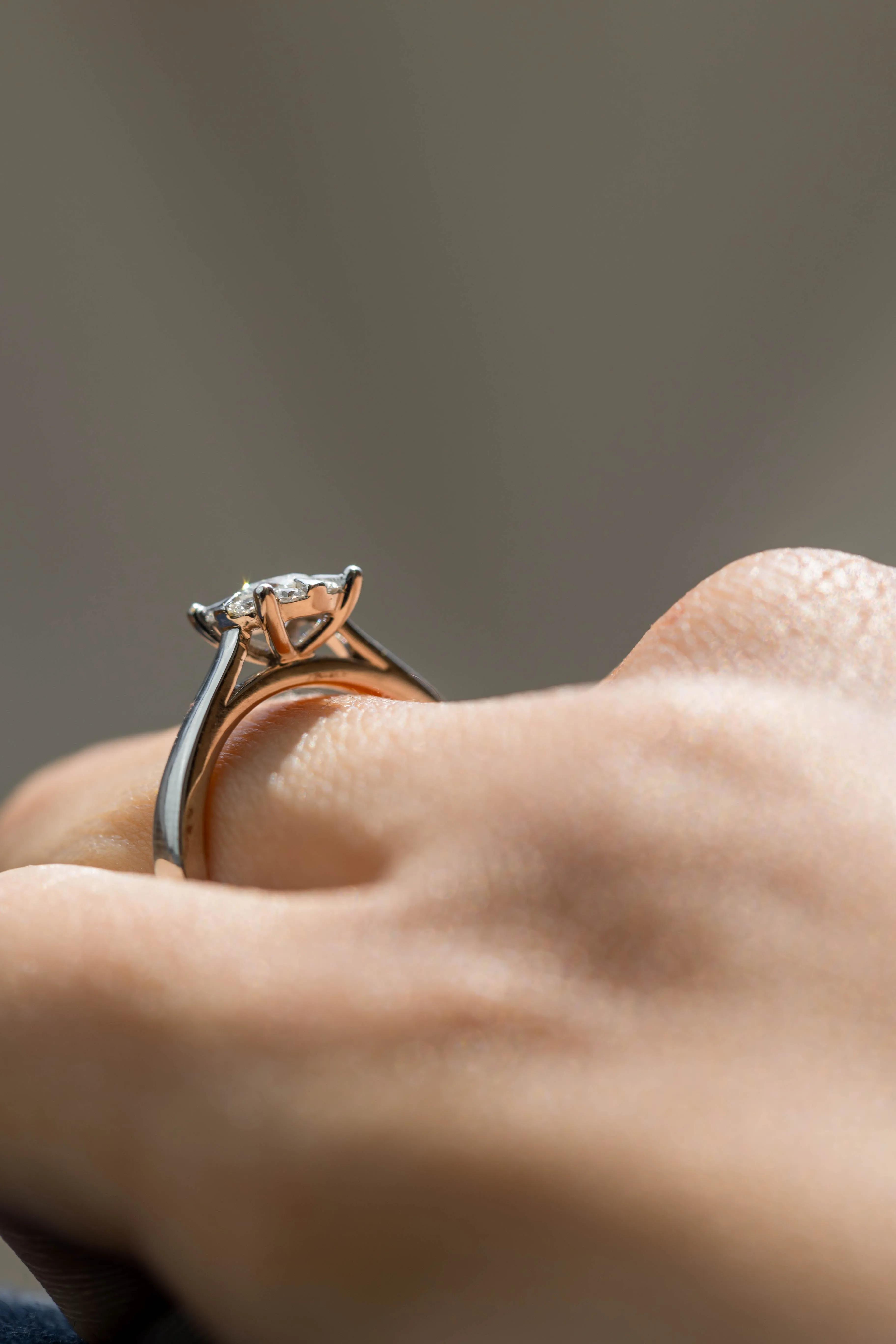 ANILLO PROMESE CLUSTER 