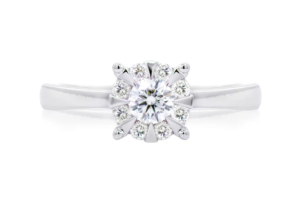 ANILLO PROMESE CLUSTER 