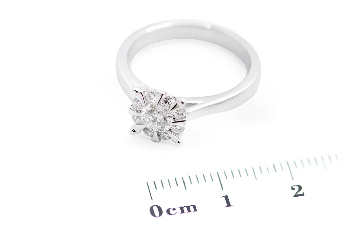 ANILLO PROMESE CLUSTER 