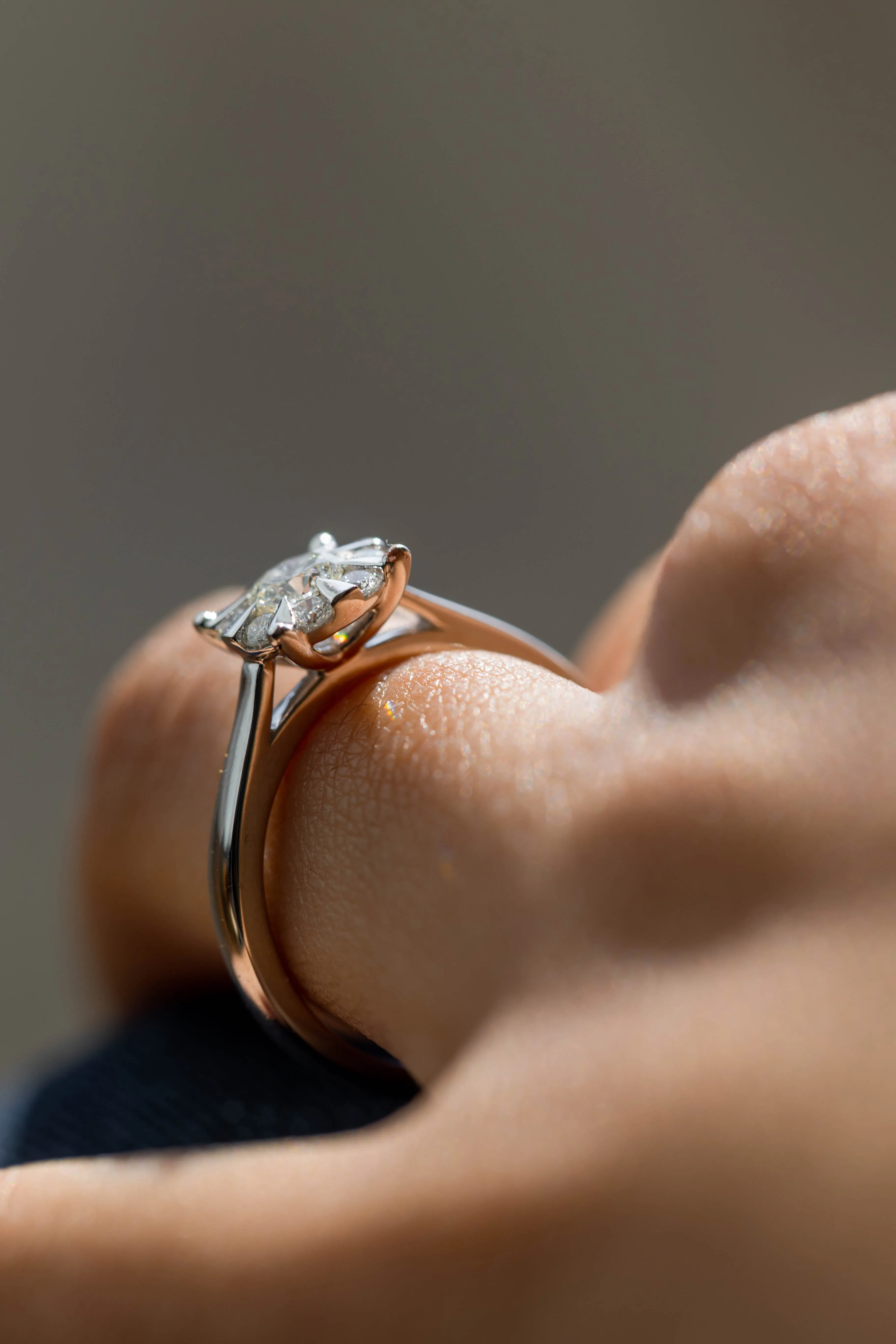 ANILLO PROMESE CLUSTER 