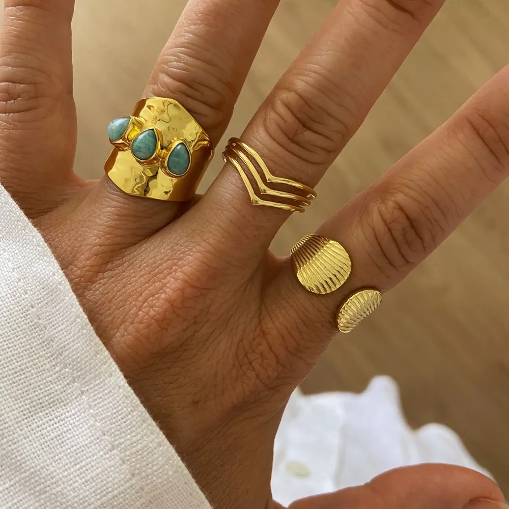 Anillo Samaná