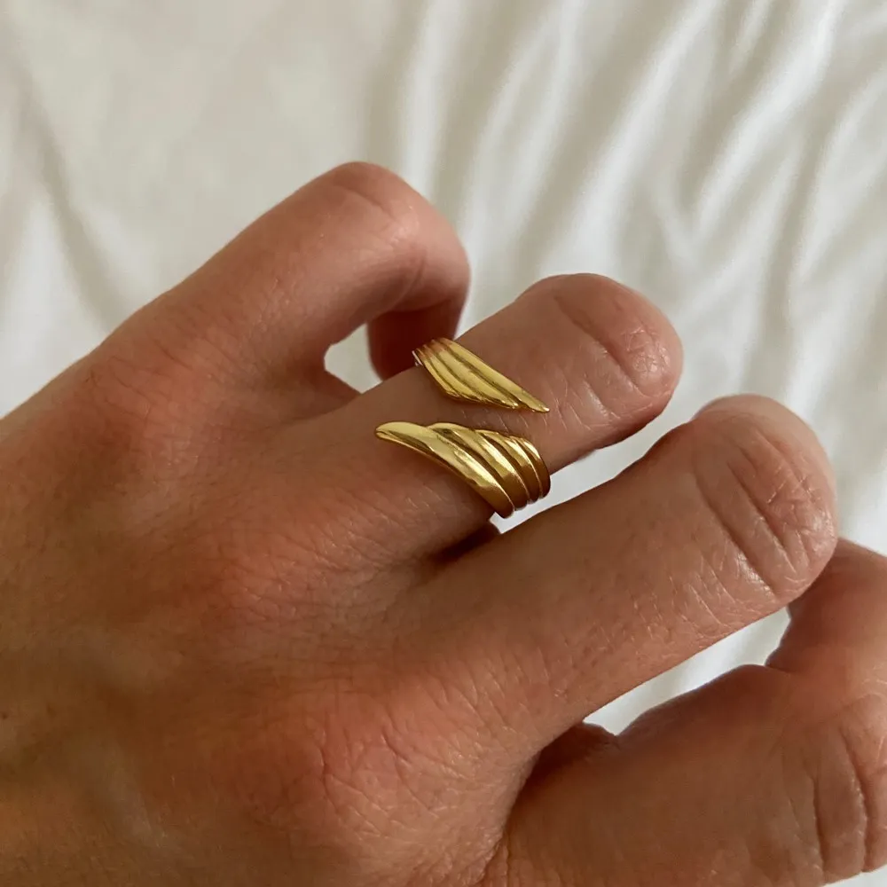 Anillo Wings