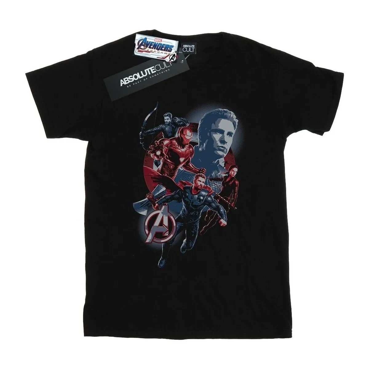 Avengers Endgame Shield Team