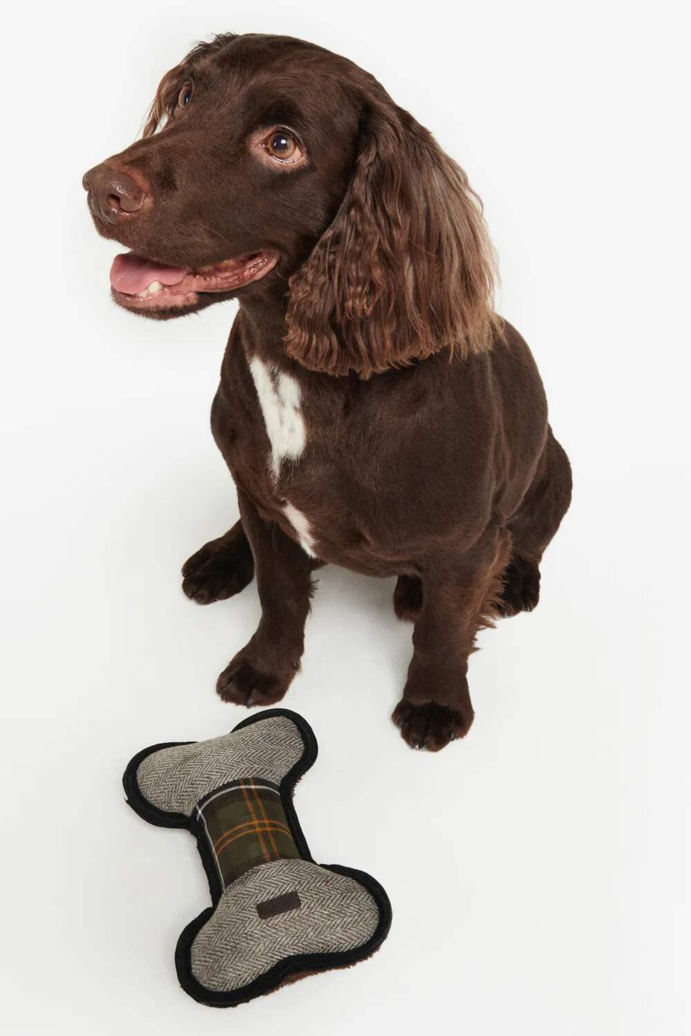 Barbour Juguete Perro Bone