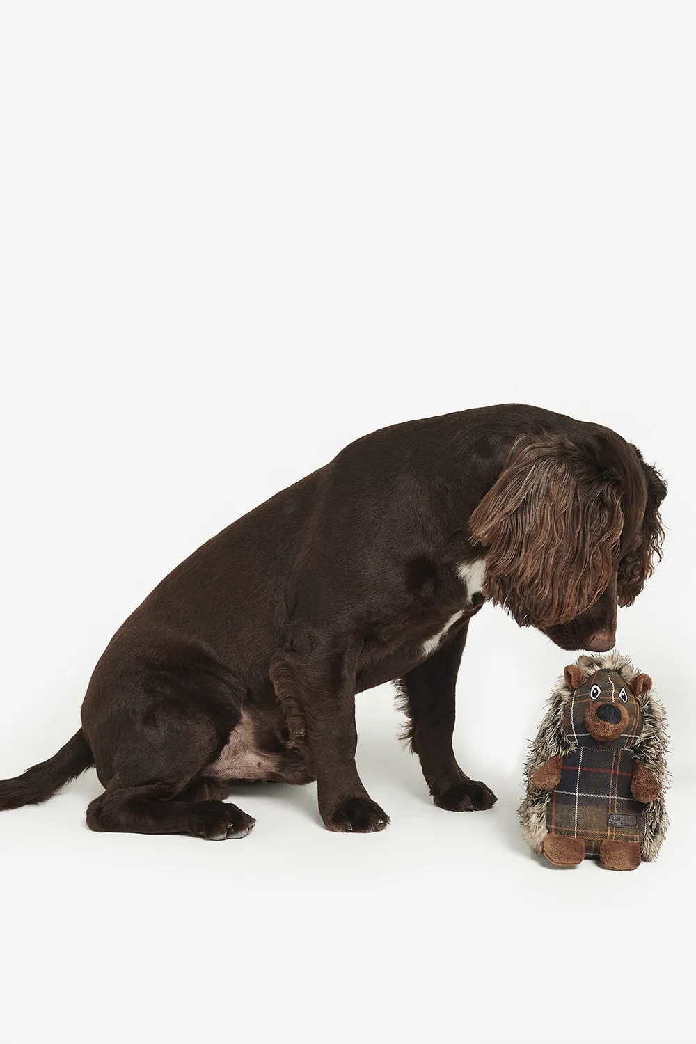 Barbour Juguete Perro Hedgehog