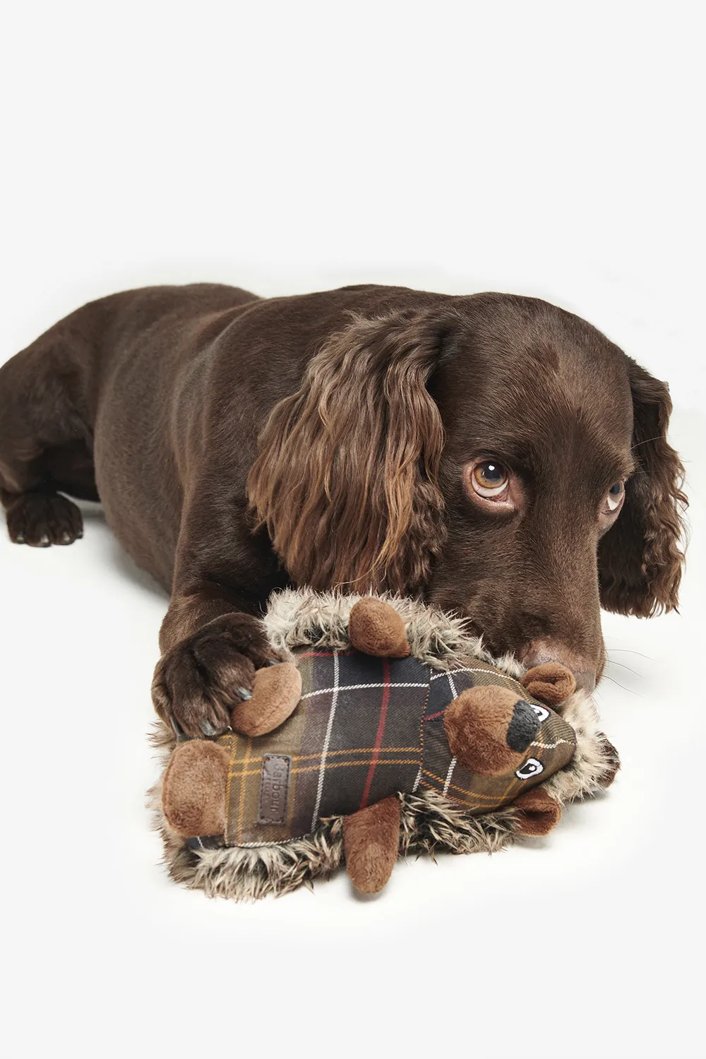 Barbour Juguete Perro Hedgehog