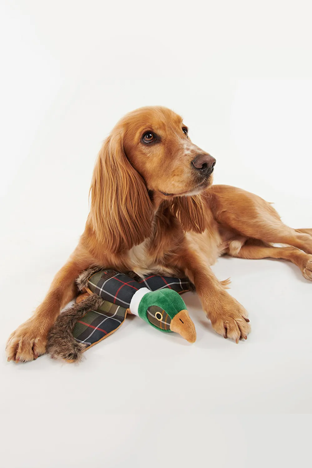 Barbour Juguete Perro Pheasant