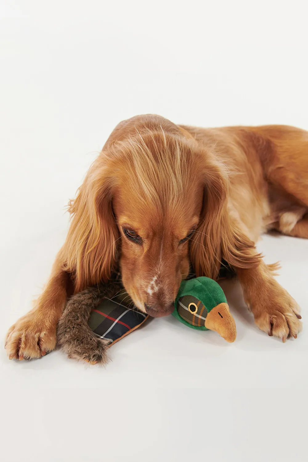 Barbour Juguete Perro Pheasant