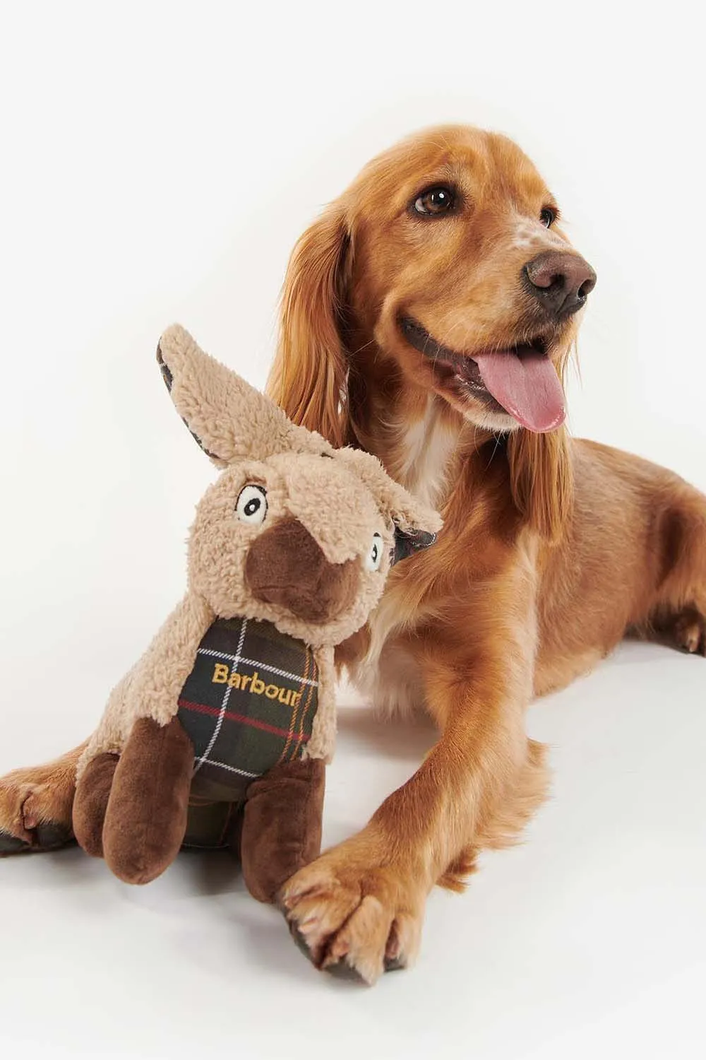 Barbour Juguete Perro Rabbit
