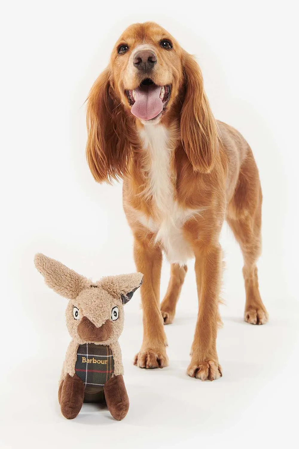 Barbour Juguete Perro Rabbit