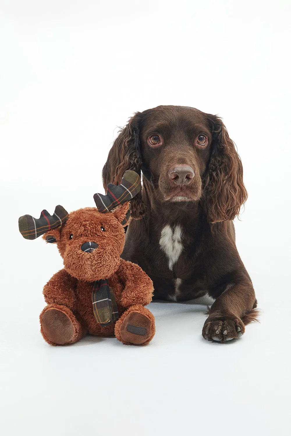 Barbour Juguete Perro Reindeer