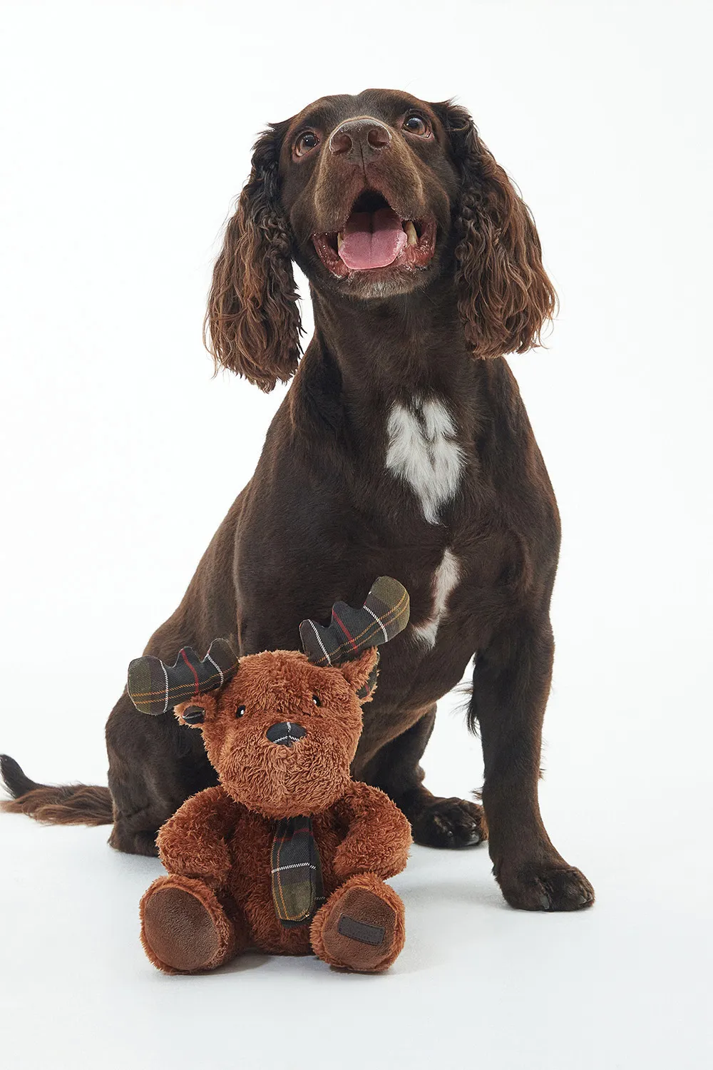 Barbour Juguete Perro Reindeer