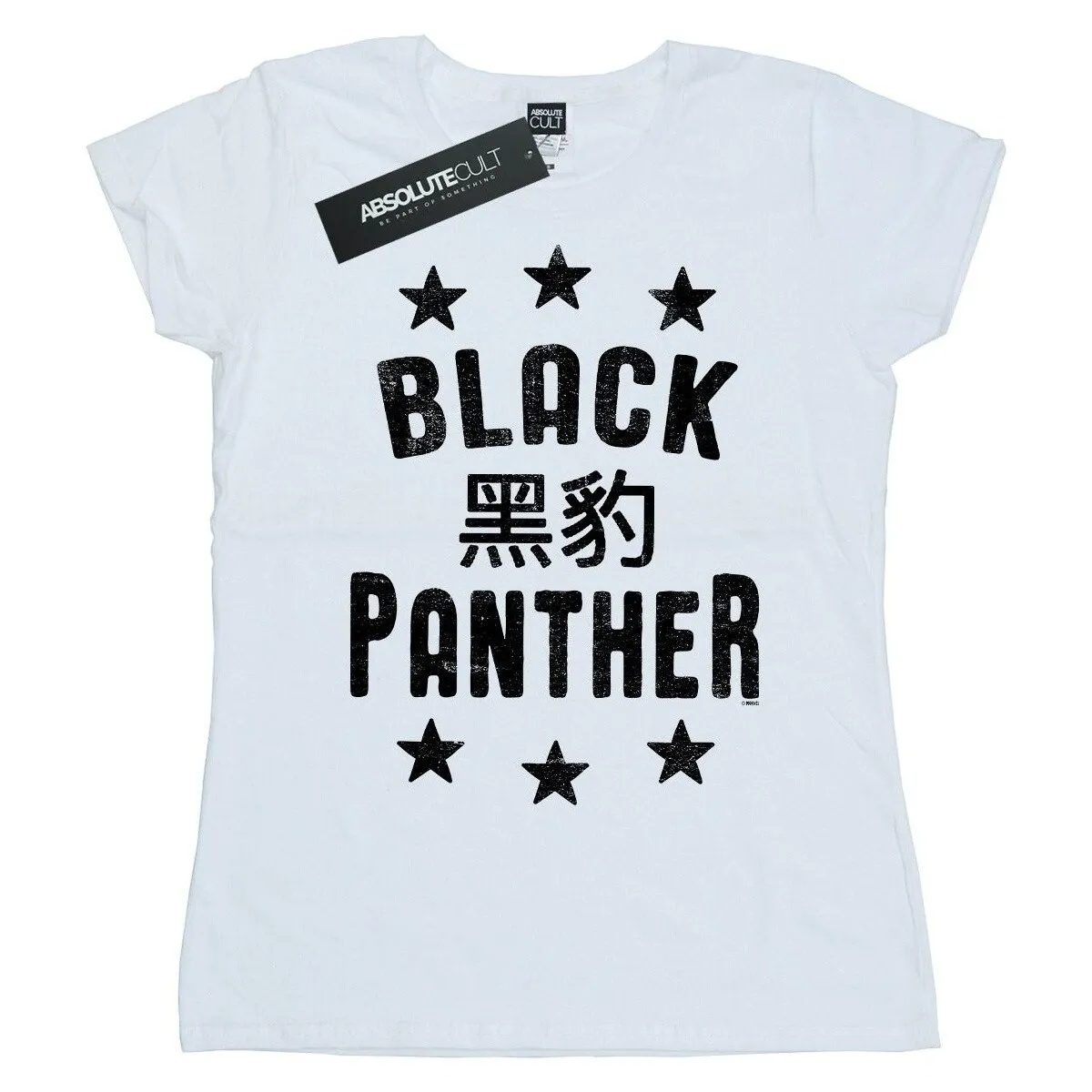 Black Panther Legends