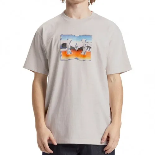 DC Shoes Chrome Star Tee Snow Heather