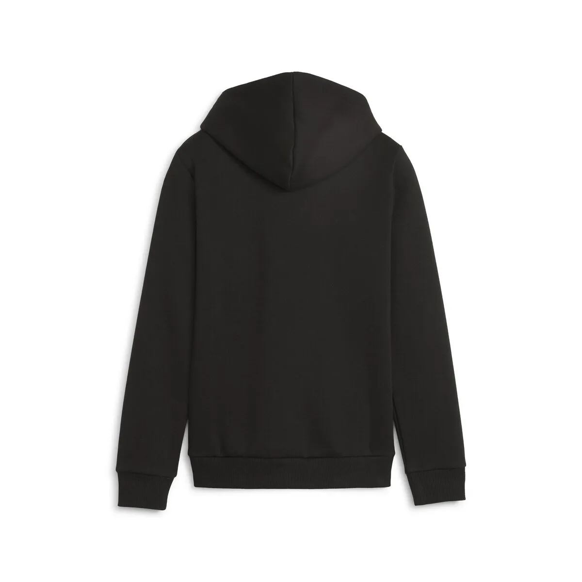 ESS+ 2 COL BIG LOGO HOODIE FL B