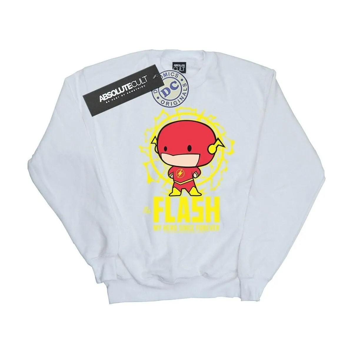 Flash My Hero Since Forever