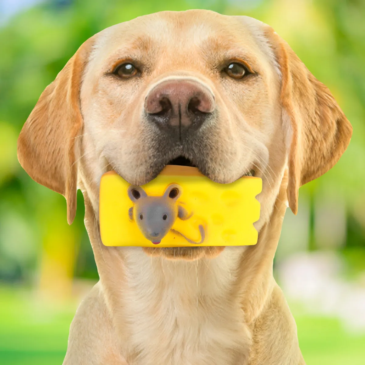 Juguete con Diseo de Queso para Mascota