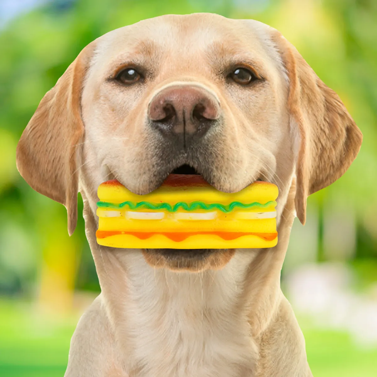 Juguete con Diseo de Sandwich para Mascota