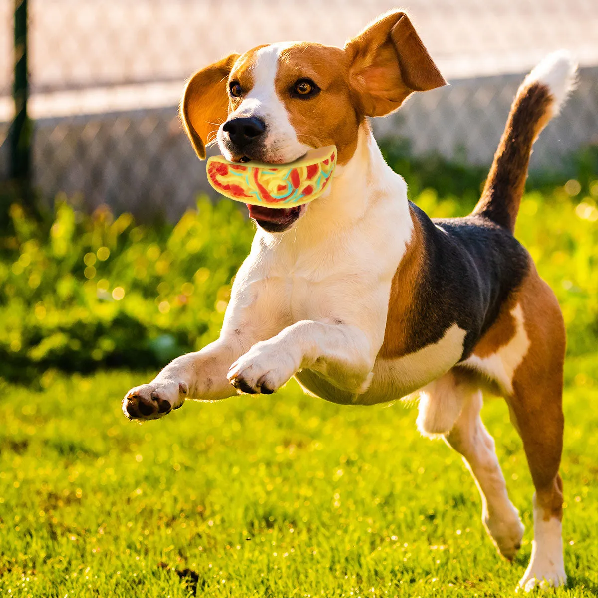 Juguete en Forma de Taco para Mascota