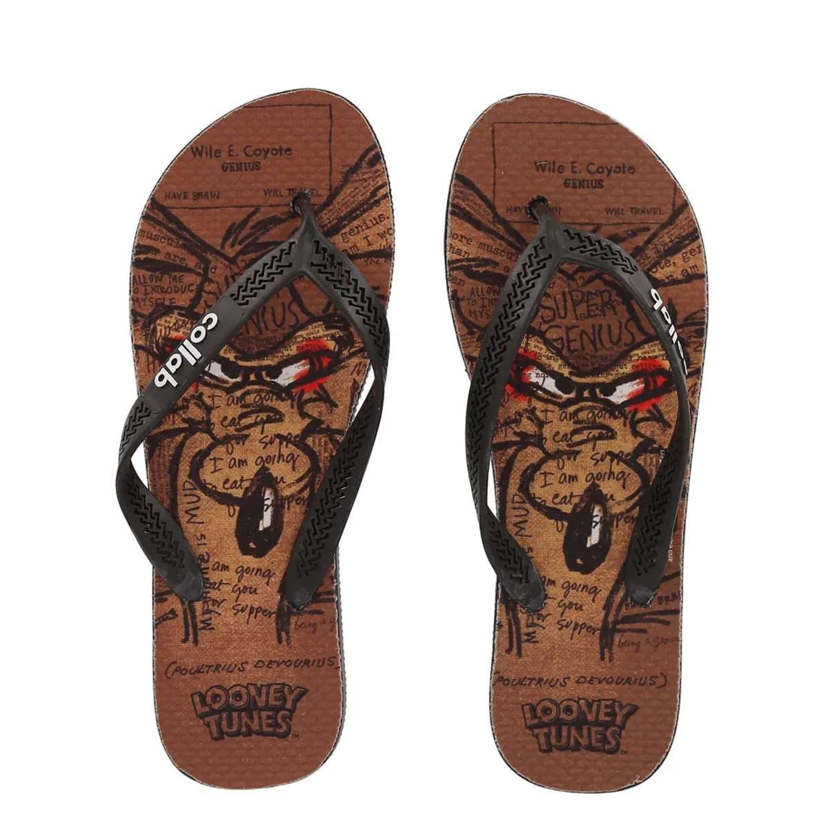 Ojotas Collab Looney Tunes Coyote