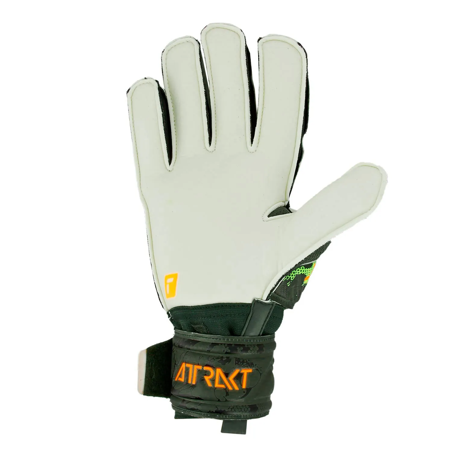 Reusch Attrakt Solid