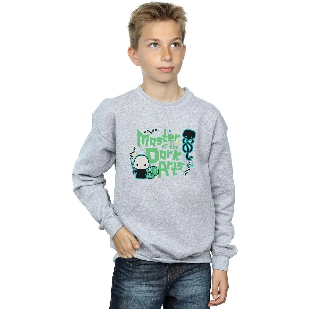 Voldemort Dark Arts Junior