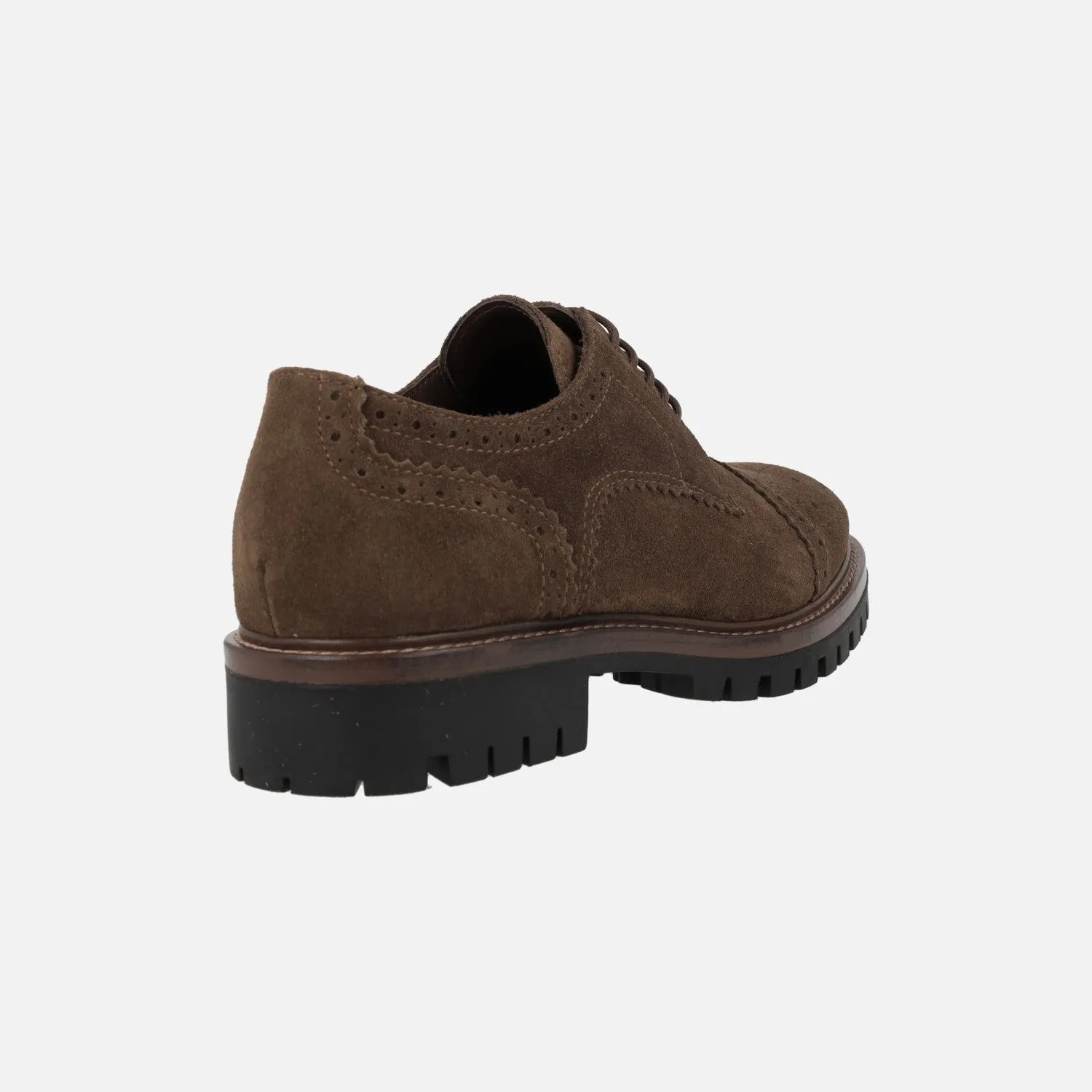 Zapatos de cordones en serraje marrón para mujer Alpe Militare
